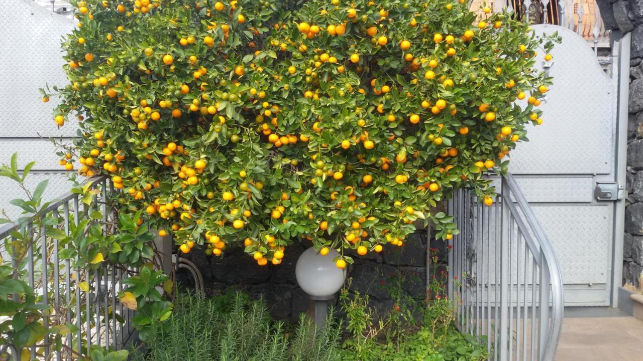 B&B Villa Liliya Fiumefreddo di Sicilia Exterior foto